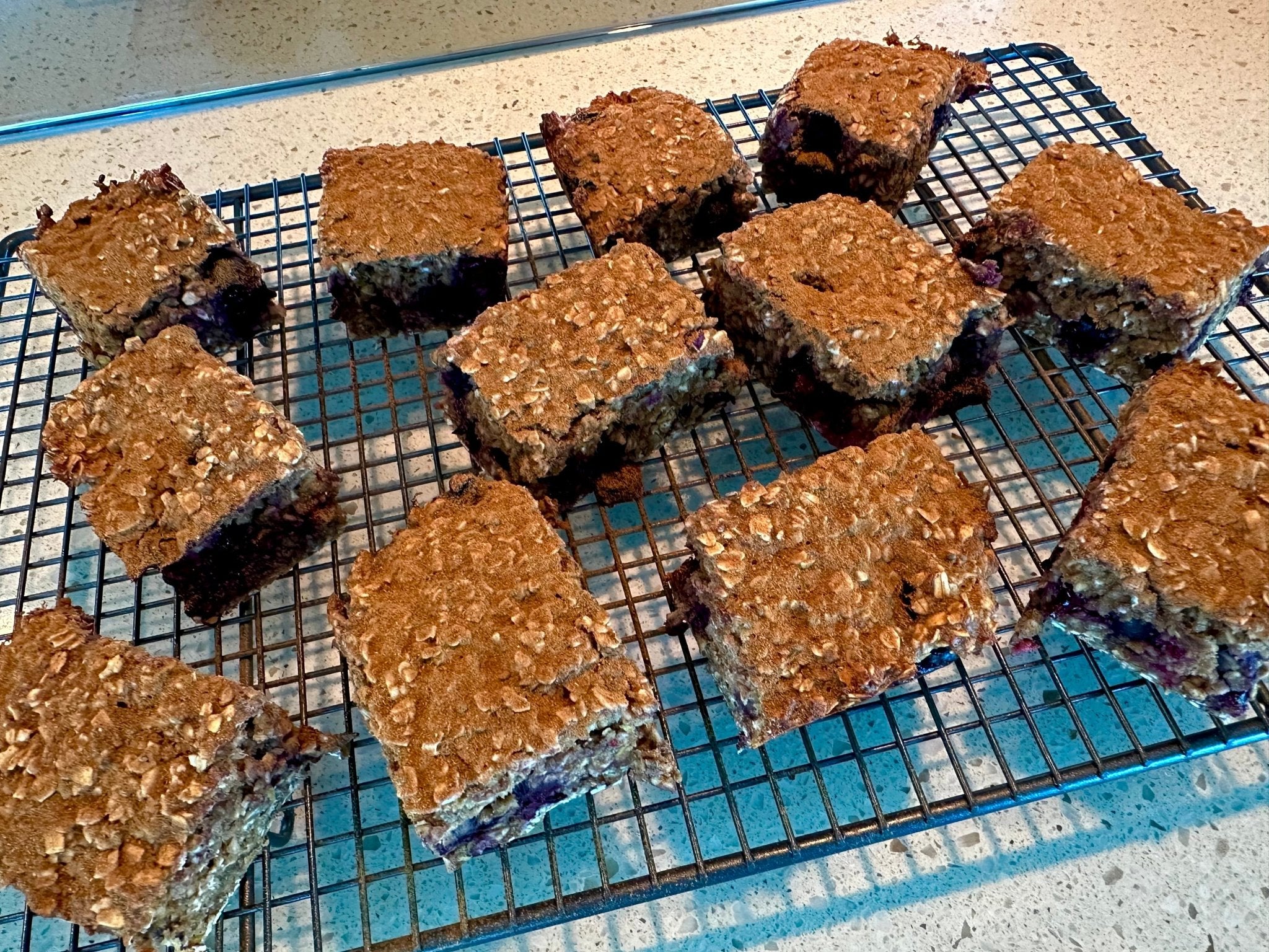Healthy Protein Snack - Orbit Nutrition