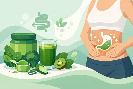 Best Greens Powder for Bloating: What to Look For - Orbit Nutrition