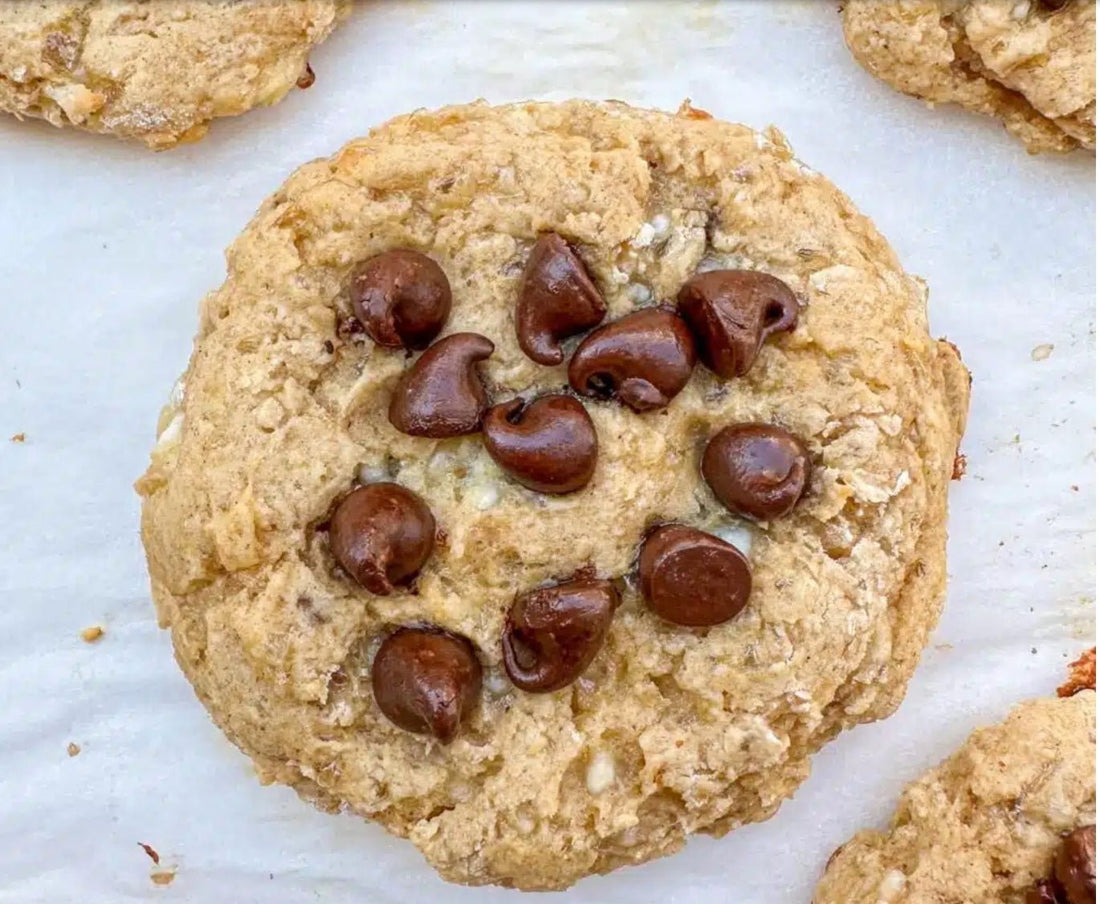 Chewy Low Calorie Protein Cookies - Orbit Nutrition