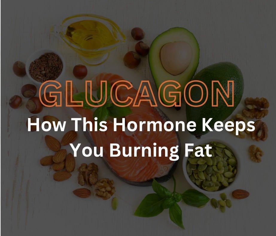 Glucagon – The Role This Powerful Hormone Plays in Fat Burning - Orbit Nutrition