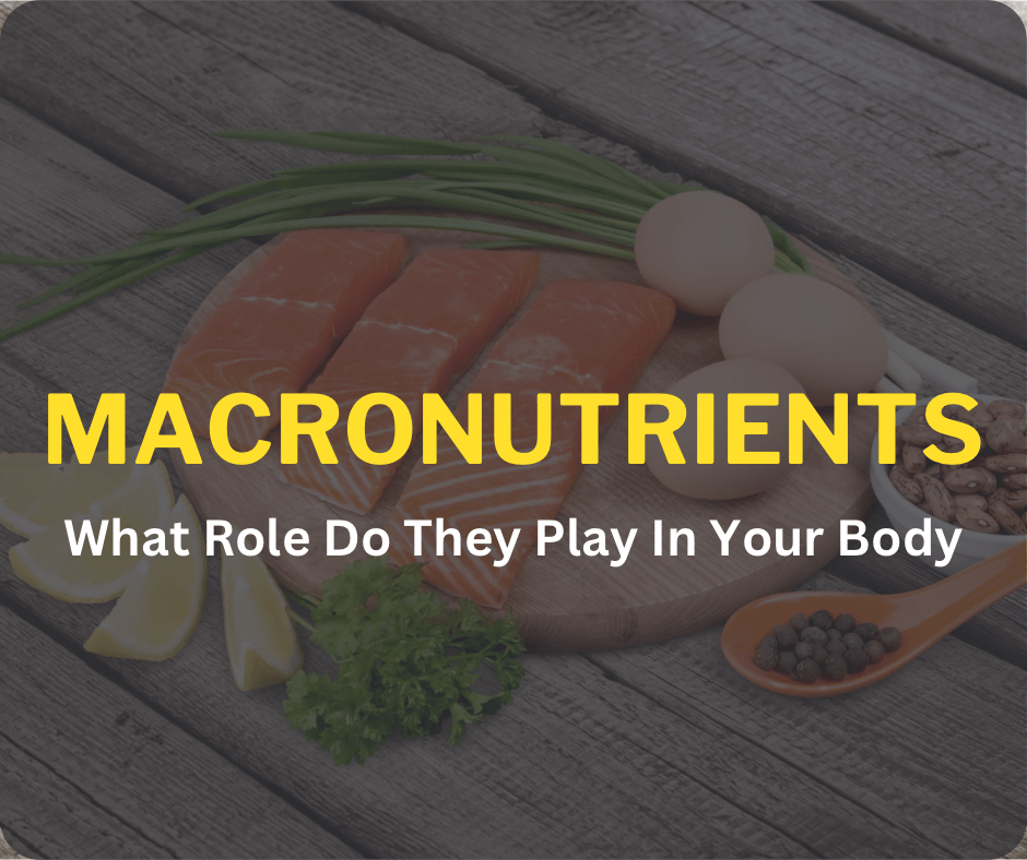 Macronutrients: What Role Do They Play In Your Body - Orbit Nutrition
