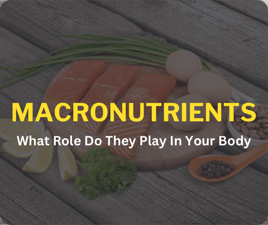 Macronutrients: What Role Do They Play In Your Body - Orbit Nutrition