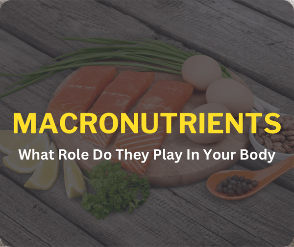 Macronutrients: What Role Do They Play In Your Body - Orbit Nutrition