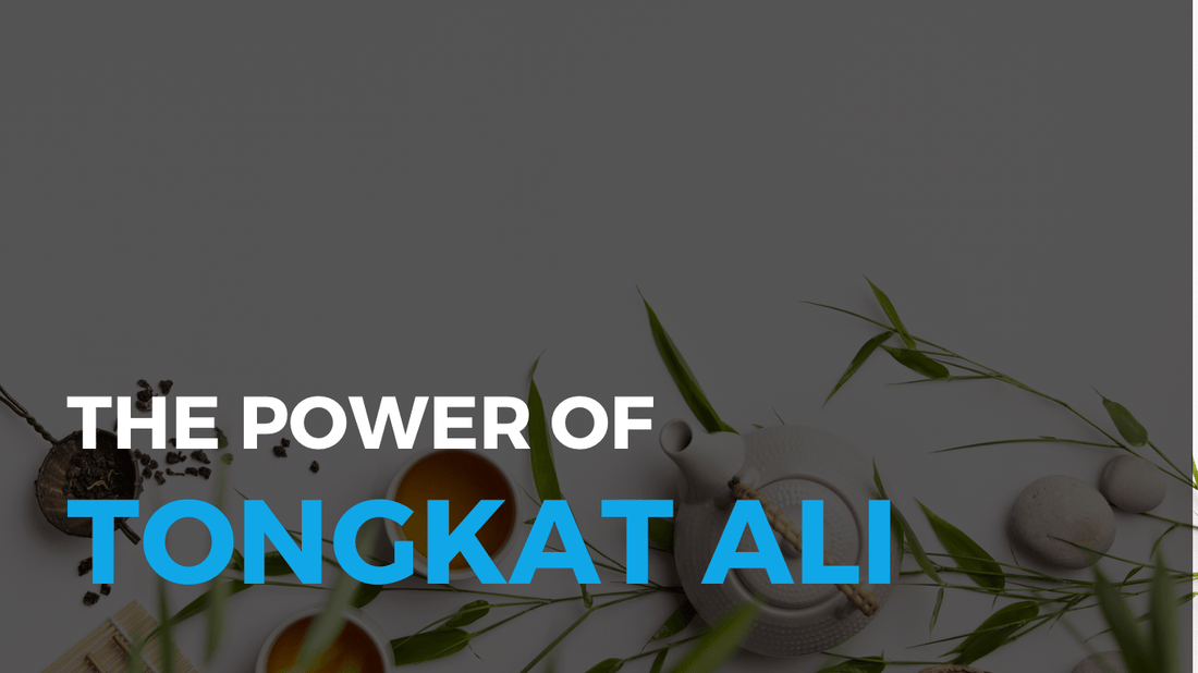 The Power of Tongkat Ali for Both Men & Women - Orbit Nutrition
